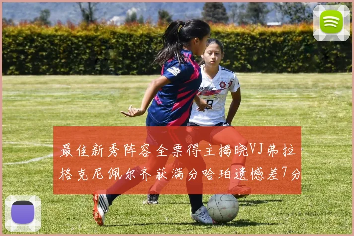 最佳新秀阵容全票得主揭晓VJ弗拉格克尼佩尔齐获满分哈珀遗憾差7分